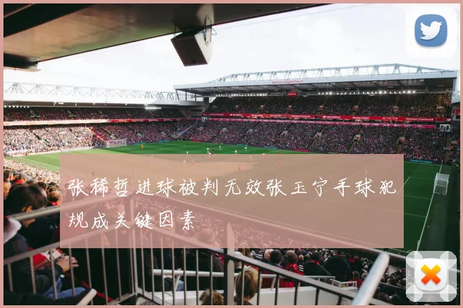张稀哲进球被判无效张玉宁手球犯规成关键因素